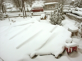 Bild vom: 30.01.2004 - über Nacht 30 cm Neuschnee